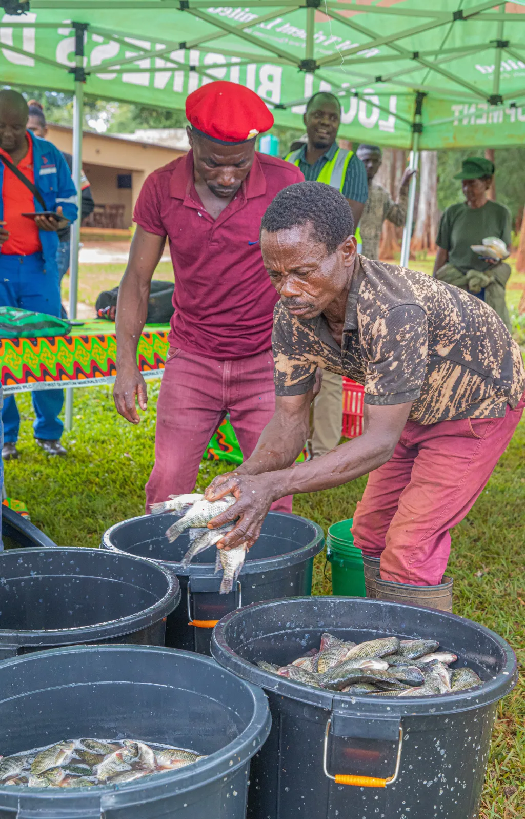 CRB Fish Harvest 5